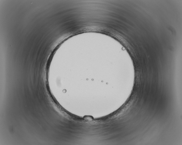 X0000111211034200908121128