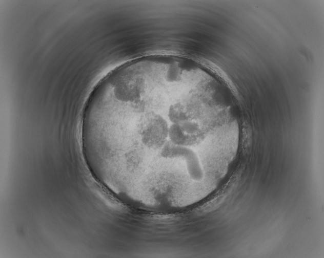 X0000111211035200908121128