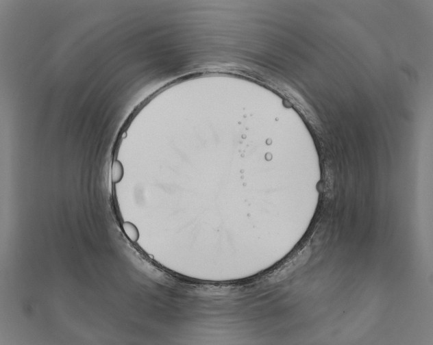 X0000111211036200908121128