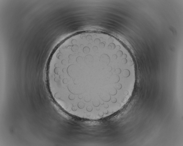 X0000111211037200908121128