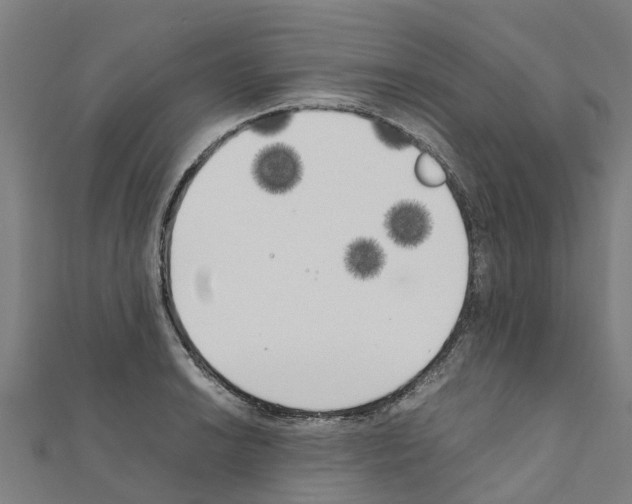 X0000111211038200908121128