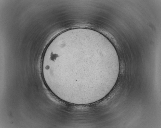 X0000111211039200908121128