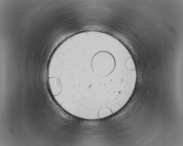 X0000111211040200908121128