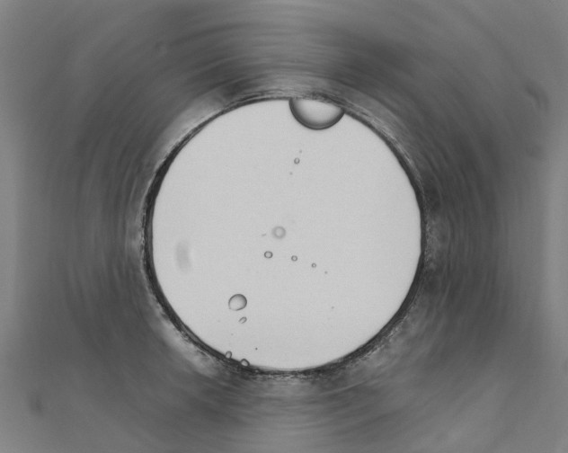 X0000111211042200908121128