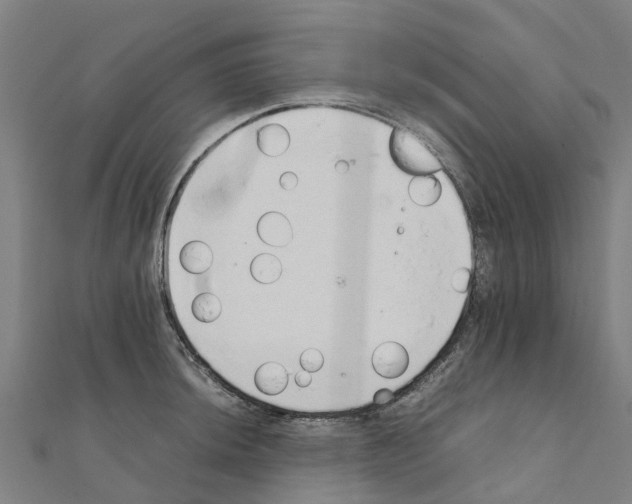 X0000111211044200908121128