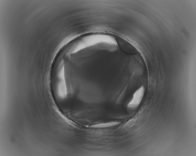 X0000111211045200908121128