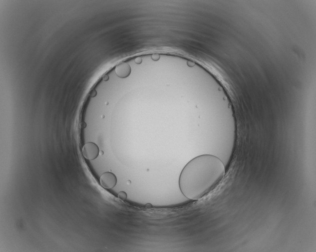 X0000111211046200908121128