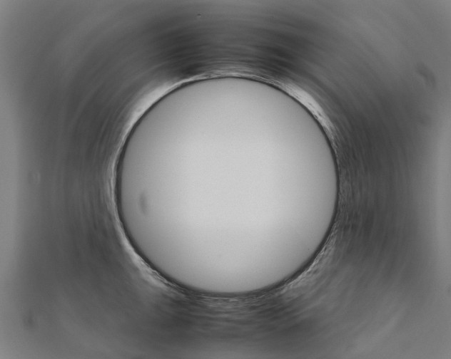 X0000111211047200908121128