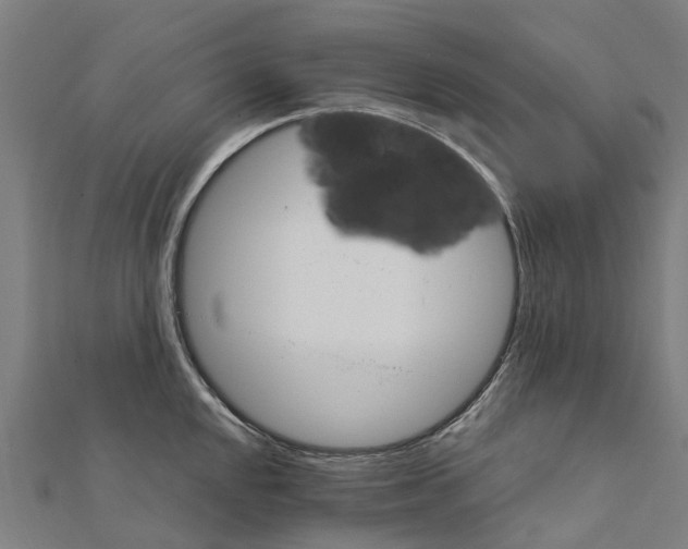 X0000111211048200908121128