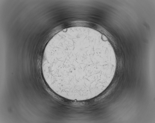 X0000111211049200908121128