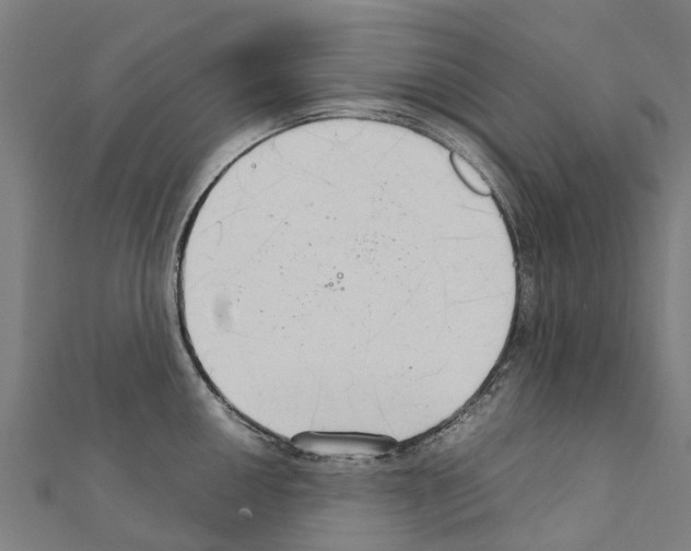 X0000111211050200908121128