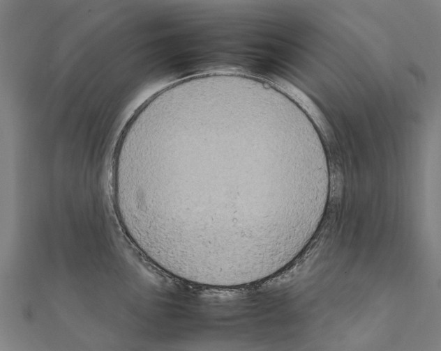 X0000111211051200908121128