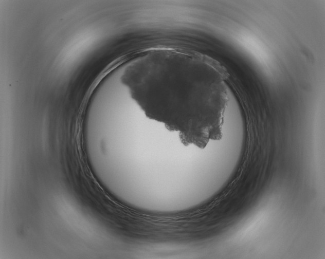 X0000111211052200908121128