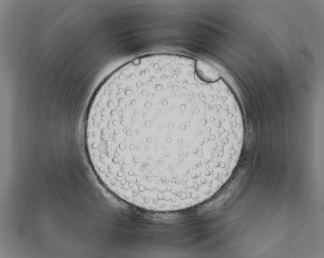 X0000111211053200908121128