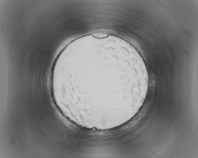 X0000111211054200908121128