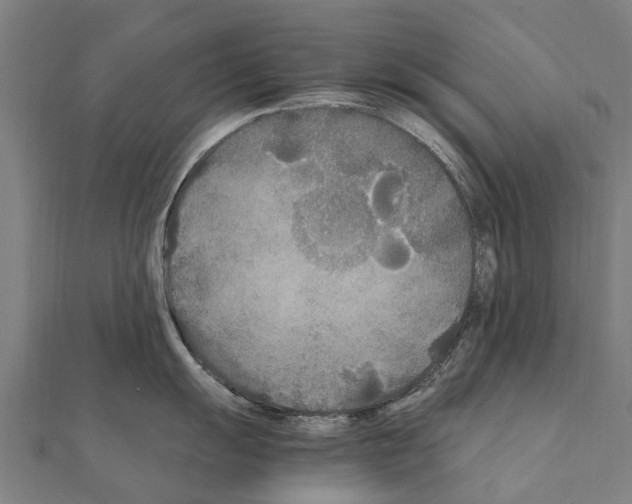 X0000111211055200908121128