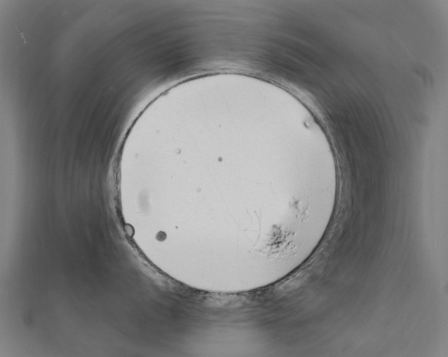 X0000111211056200908121128