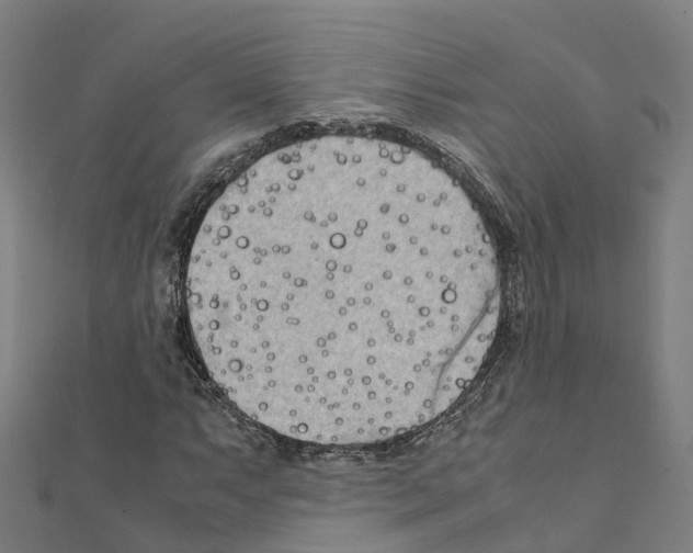 X0000111211063200908121127