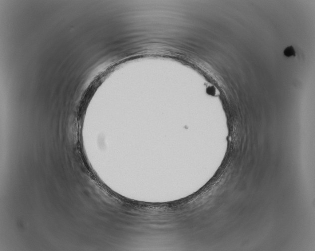 X0000111211067200908121127