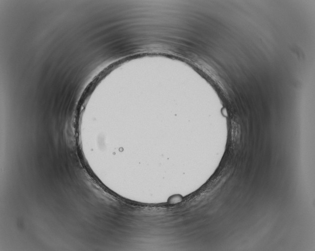 X0000111211068200908121127