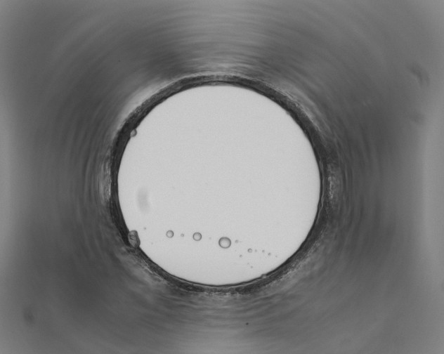 X0000111211069200908121127