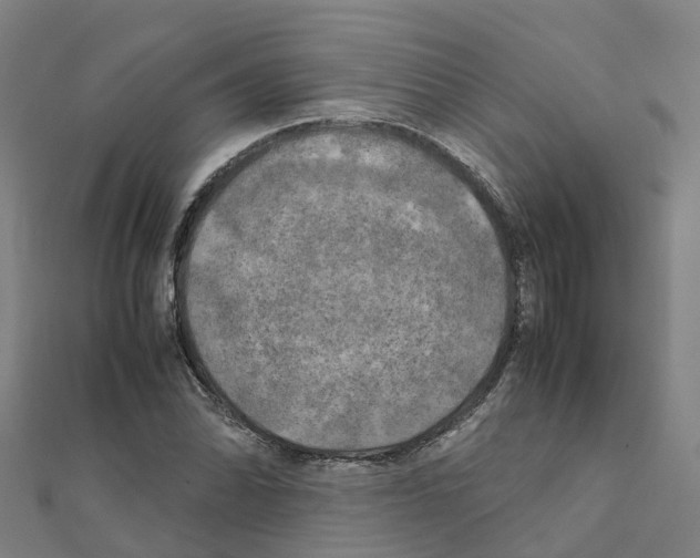 X0000111211070200908121127