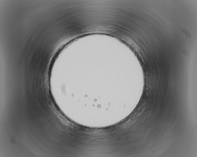 X0000111211072200908121127