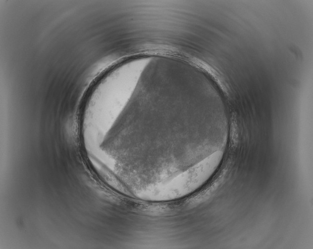 X0000111211074200908121127