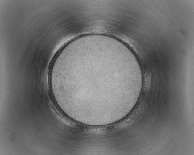 X0000111211078200908121127