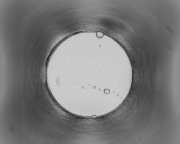 X0000111211079200908121127