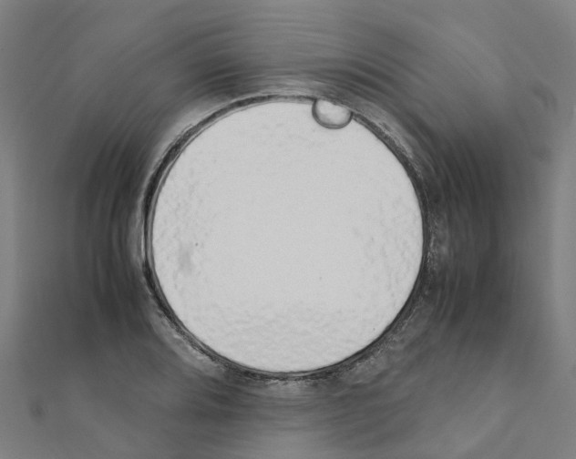 X0000111211080200908121127