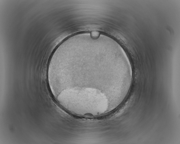 X0000111211081200908121127