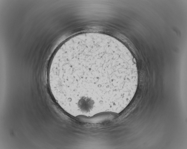 X0000111211083200908121127