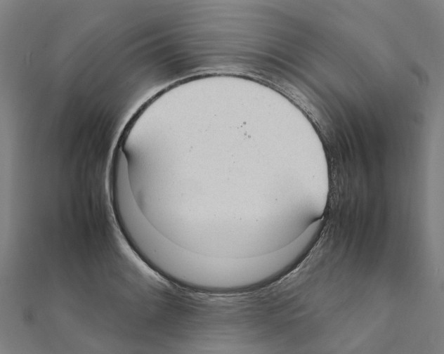 X0000111211084200908121127