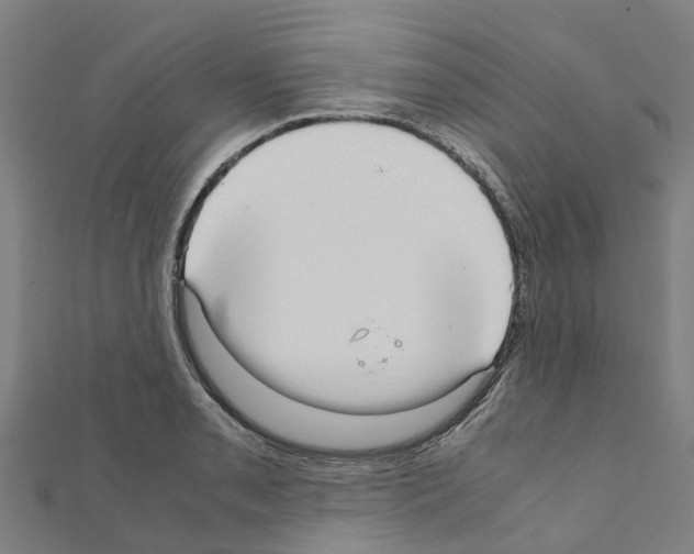 X0000111211085200908121127