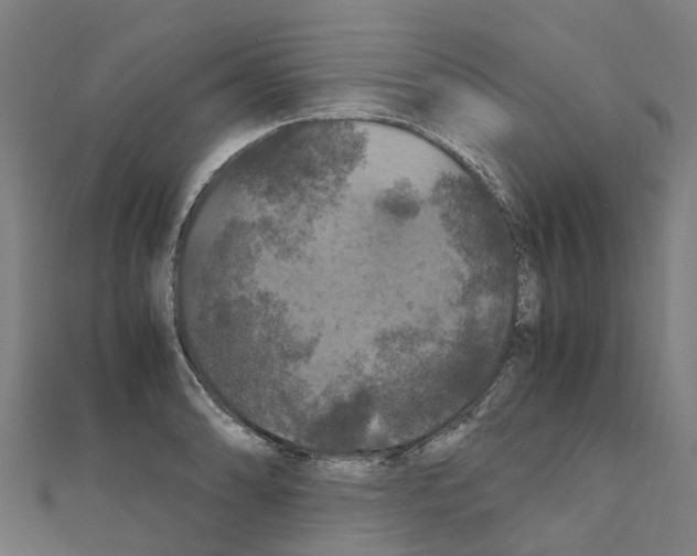 X0000111211086200908121127