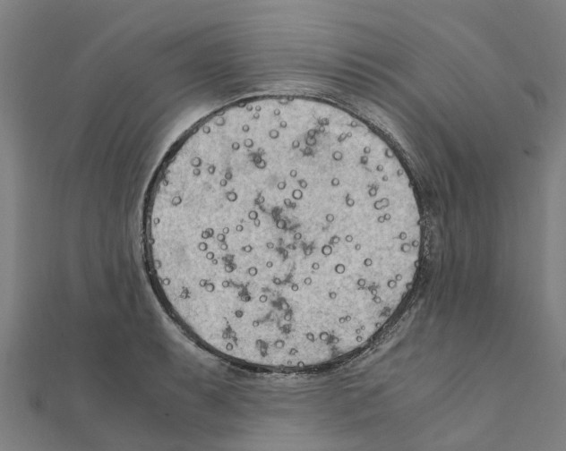 X0000111211087200908121127