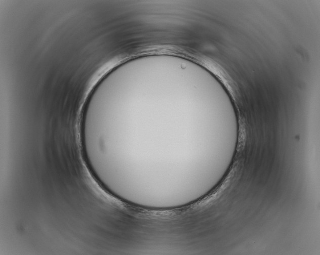 X0000111211090200908121127