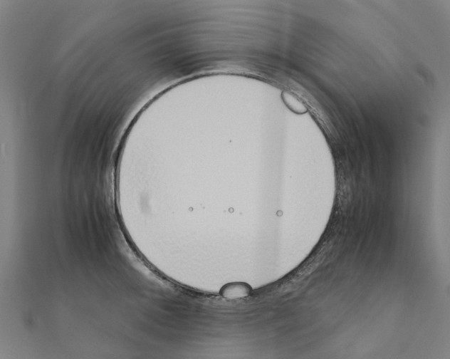 X0000111211092200908121127