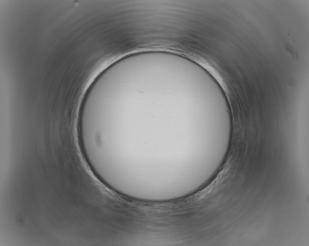 X0000111211093200908121127