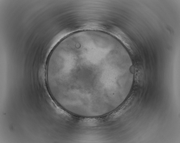 X0000111211094200908121127