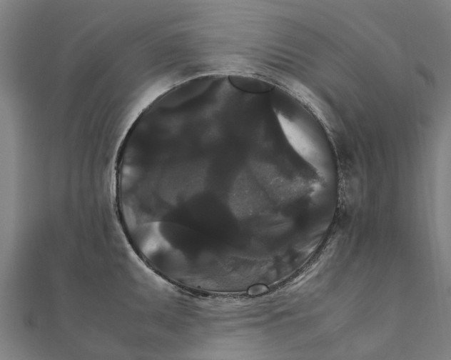 X0000111211095200908121127