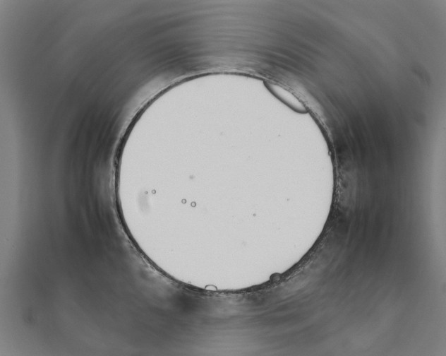 X0000111211096200908121127