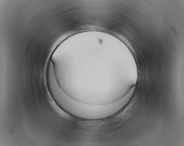 X0000111211098200908121127