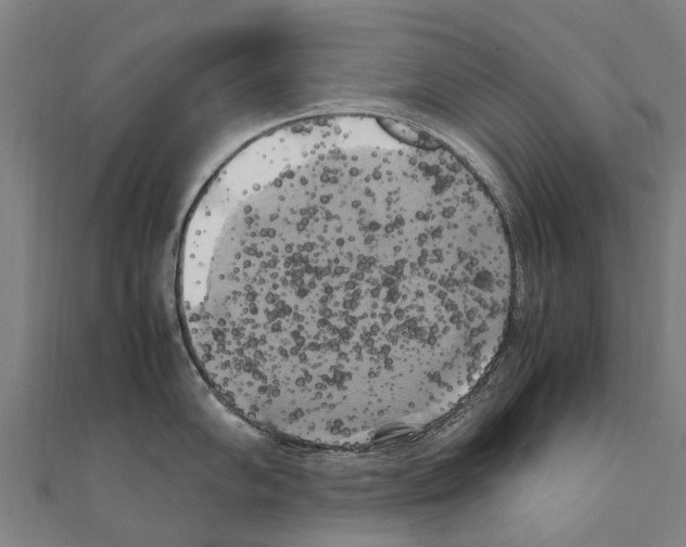 X0000111211102200908121127