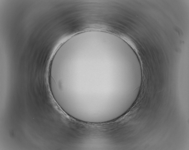 X0000111211104200908121127