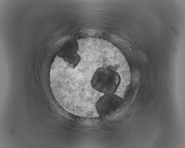 X0000111211105200908121126