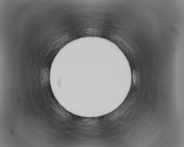 X0000111211107200908121126