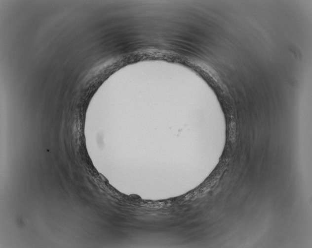 X0000111211111200908121126