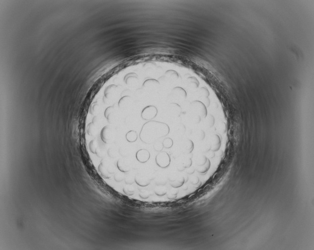 X0000111211113200908121126